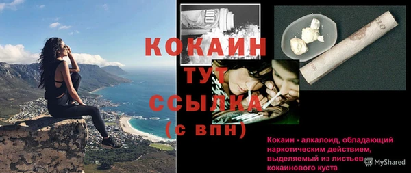 молекула духа Белоозёрский