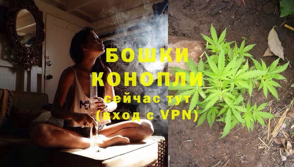 спайс Баксан