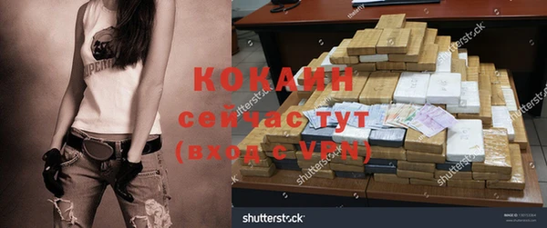 молекула духа Белоозёрский