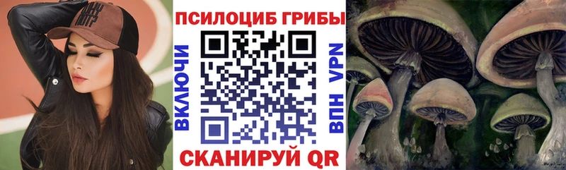 Псилоцибиновые грибы Psilocybine cubensis  Купить  Михайловск 