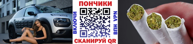 Купить где  Михайловск  Шишки марихуана ГИДРОПОН 